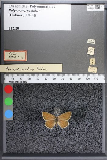 Media type: image;   Entomology 54535